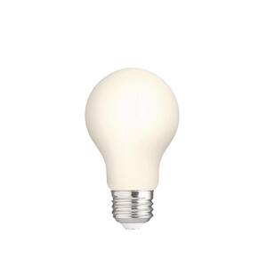 60-Watt Equivalent A19 Dimmable CEC Frosted Glass Filament LED Light Bulb Bright White (2-Pack)