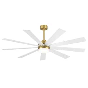65 in. LED Indoor White and Gold Ceiling Fan with Remote