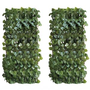 50.05''Hx32.05''W Closing Size Expandable Decorative Plastic Ivy Fence Privacy Screen for Balcony Patio Outdoor (2-Pack)