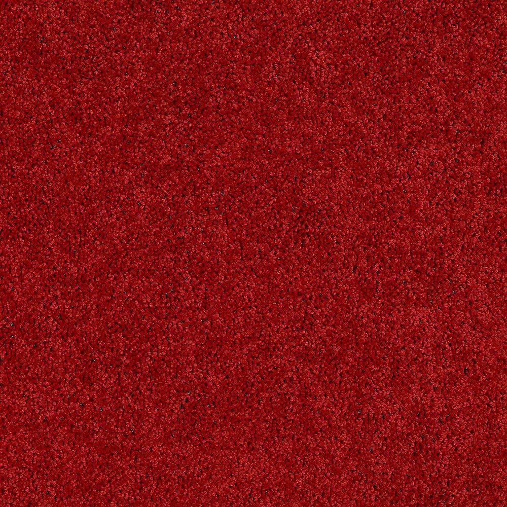 8 in. x 8 in. Texture Carpet Sample - Alpine - Color Passion price history on PriceWatchPro