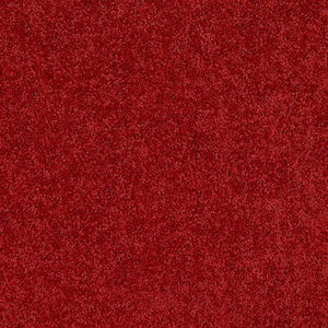 8 in. x 8 in. Texture Carpet Sample - Alpine - Color Passion