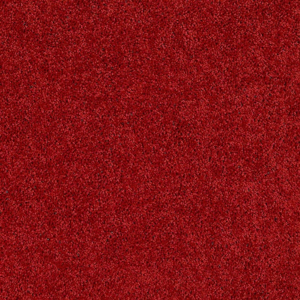 TrafficMaster 8 in. x 8 in. Texture Carpet Sample - Alpine - Color Passion