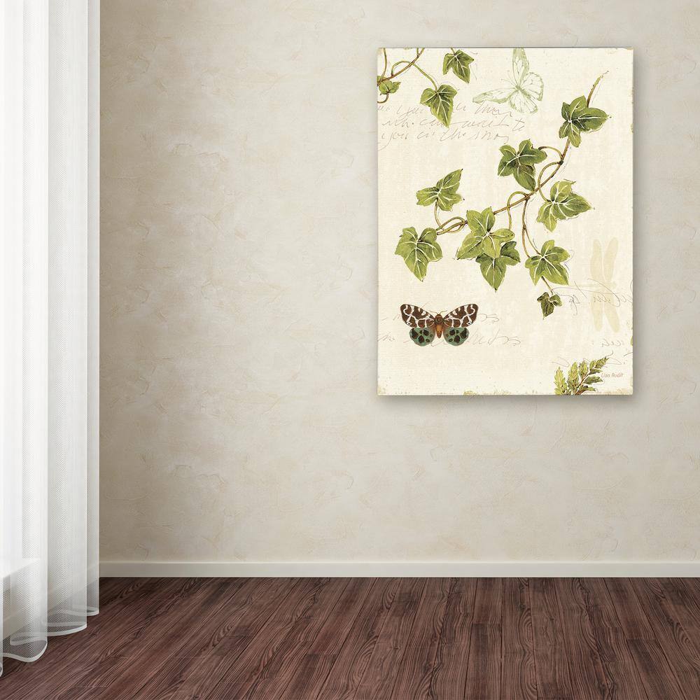 Ivies and Ferns II 14" x 19" Canvas Nature Painting