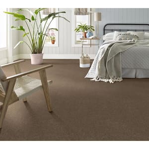 House Party II - Ridgeview - Brown 51.5 oz. Polyester Texture Installed Carpet
