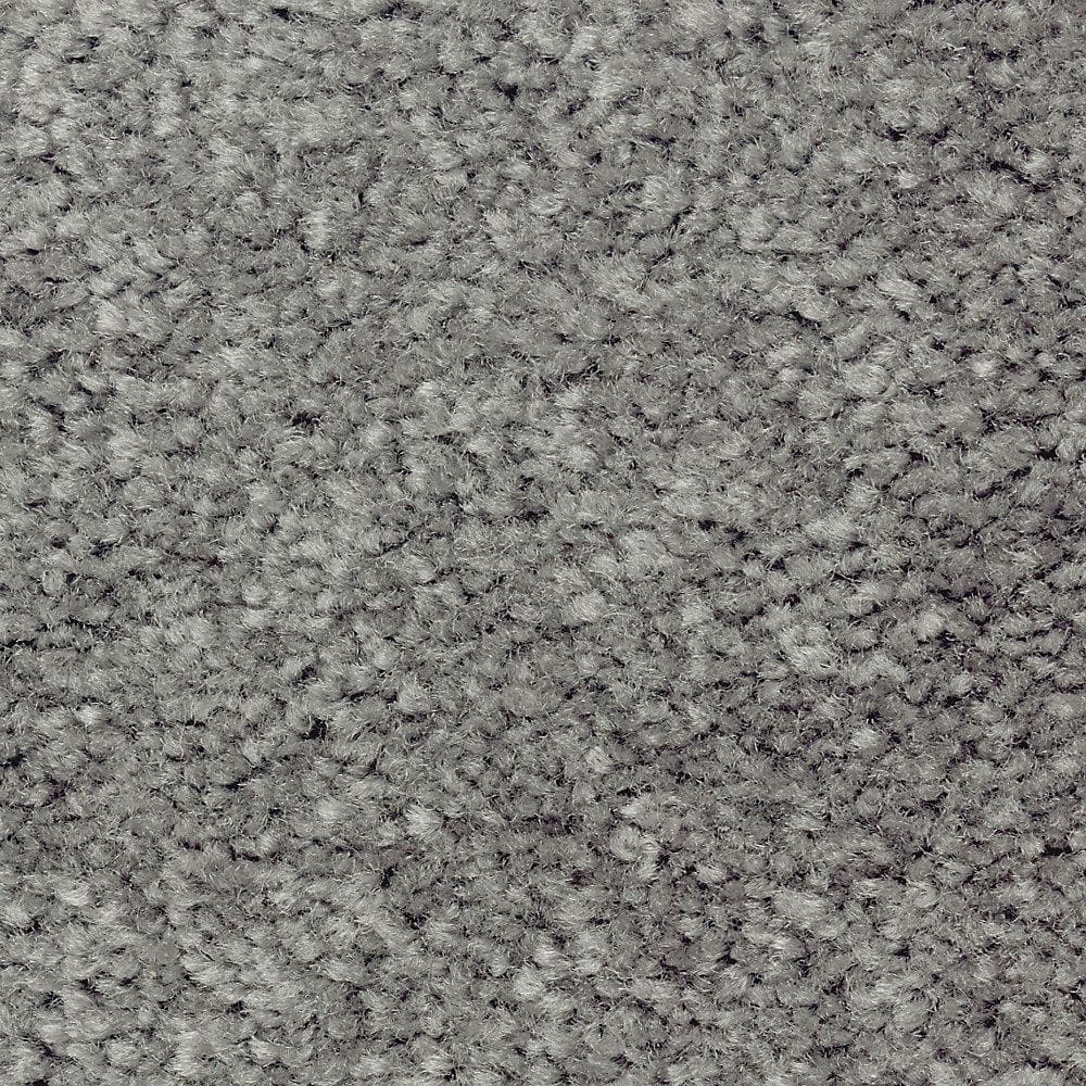 8 in. x 8 in. Texture Carpet Sample - Mason I -Color Dragonfly price history on PriceWatchPro