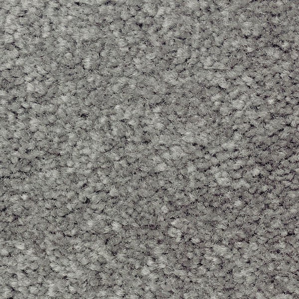 Mason II  - Dragonfly - Green 54 oz. Triexta Texture Installed Carpet