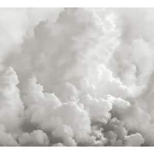 In the Clouds Dove Grey Novelty Wall Mural Sample
