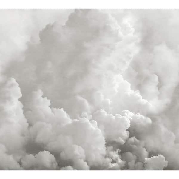 REMIX WALLS In the Clouds Dove Grey Novelty Wall Mural Sample