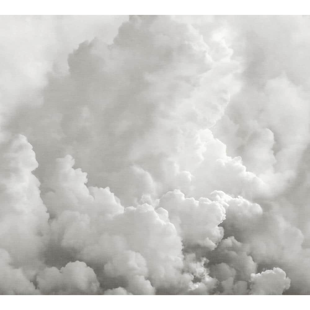 REMIX WALLS In the Clouds Landscapes Dove Grey Wall Mural ASTM5054