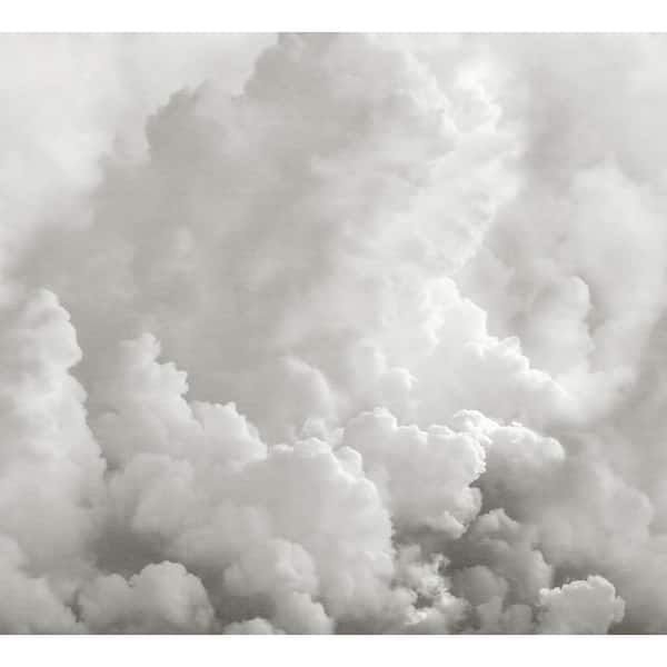 REMIX WALLS In the Clouds Landscapes Dove Grey Wall Mural