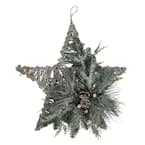 20 in. Frosted Mixed Pine Twig Star Christmas Ornament