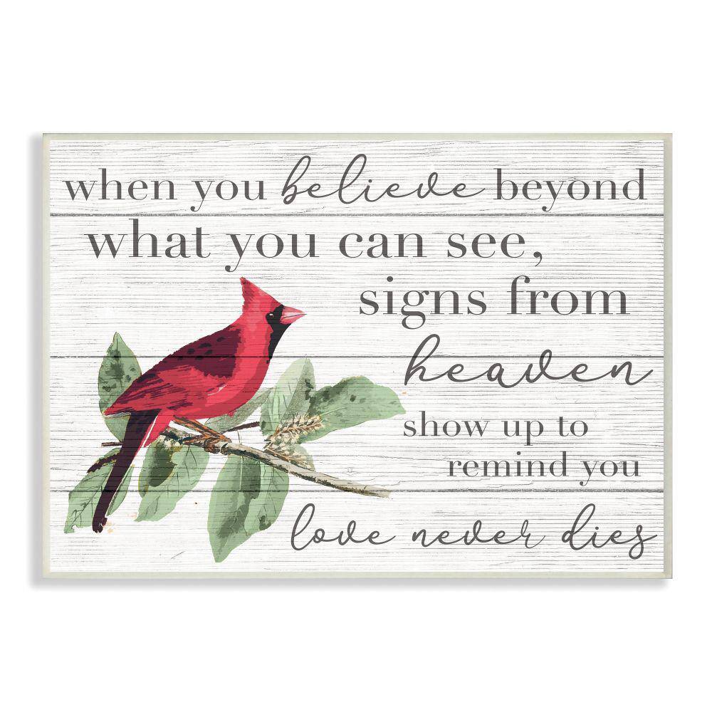 Believe Love Never Dies Cardinal Bird by Daphne Polselli Wood Religious Wall Art 15 in. x 10 in. price history on PriceWatchPro