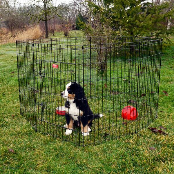 Lucky Dog 36 in. High Heavy Duty Dog Exercise Pen with