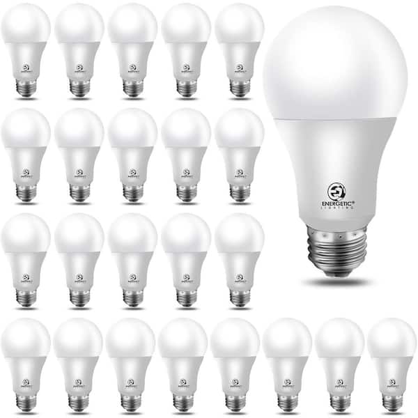 40-Watt Equivalent A19 LED Light Bulb 5-Watt 5000K Daylight 450 Lumens (24-Pack)