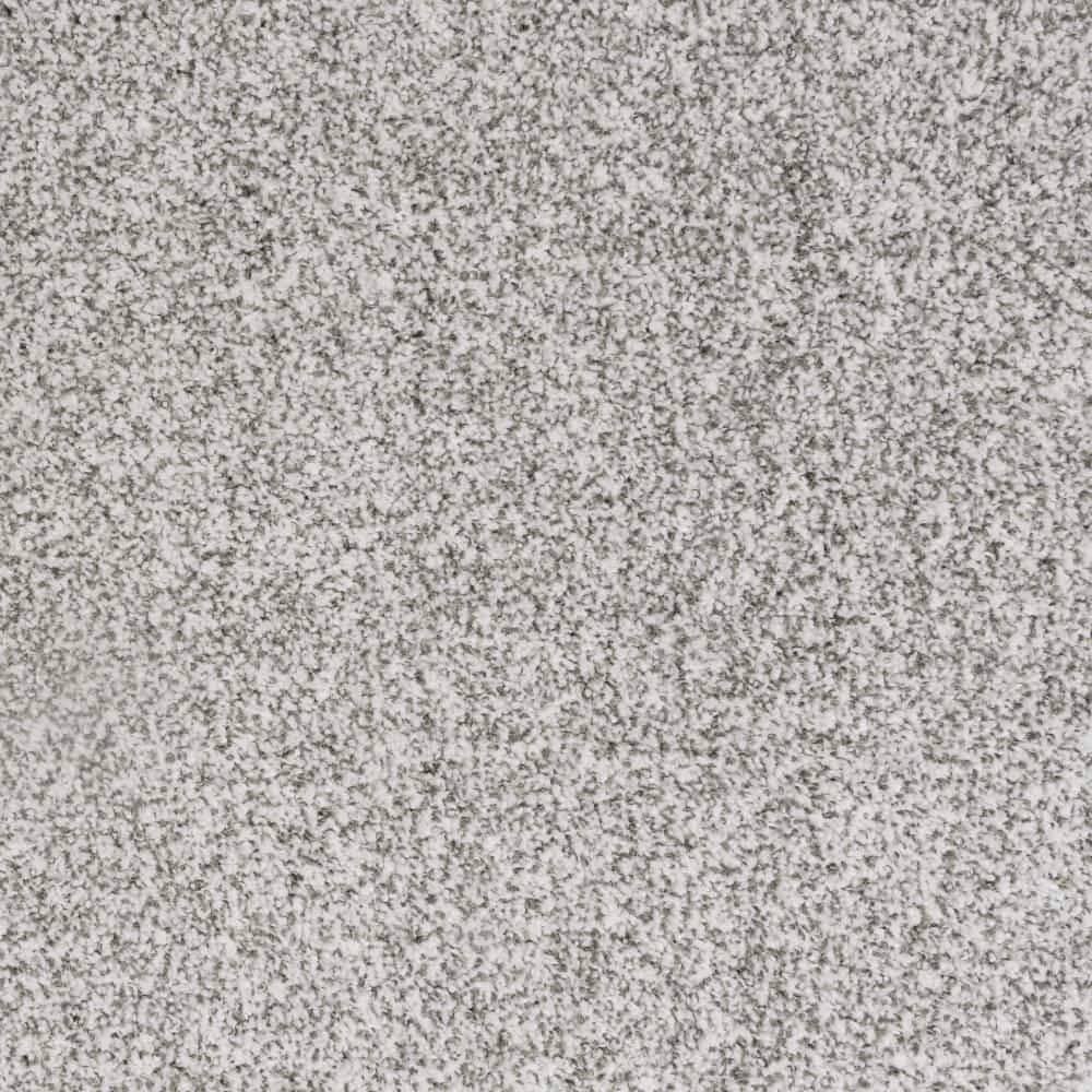 8 in. x 8 in. Texture Carpet Sample-Lurelin-Color Elegance price history on PriceWatchPro