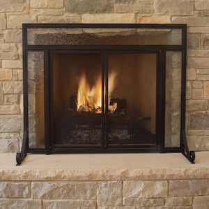 Manchester Petite Size Black Steel and Glass Single-Panel Fireplace Screen with Doors