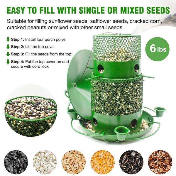 Unbranded - Exquisite Green Iron Squirrel Guard Hanging Multiple Bird Species Seed Feeder - 6 lbs. 1-Pack