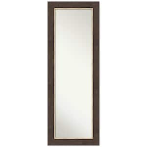 Non-Beveled Lined Bronze 19 in. W x 53 in. H On the Door Mirror Full Length Mirror
