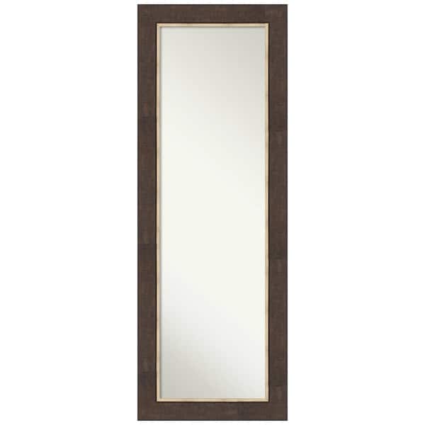 Amanti Art Non-Beveled Lined Bronze 19 in. W x 53 in. H On the Door Mirror Full Length Mirror