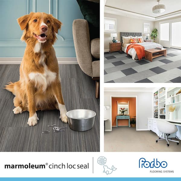 Marmoleum Cinch Loc Seal Granada 9.8 mm Thick x 11.81 in. Wide X 11.81 in. Length Laminate Floor Tile (6.78 sq. ft/Case)