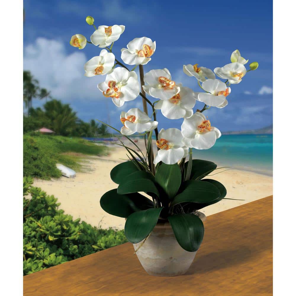Orchid Bliss Cream 29" Outdoor Tabletop Silk Potted Orchid