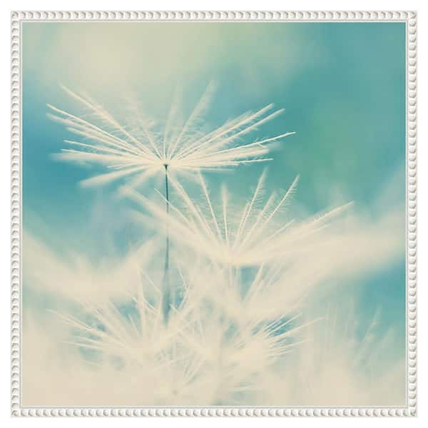 Amanti Art Fluff by Ingrid Beddoes 22 in. W x 22 in. H. Canvas Wall Art Print Framed in White