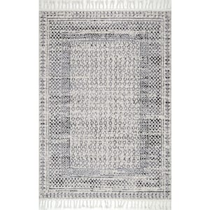 Claudia Diamond Tassel Gray Multi 12 ft. x 18 ft. Indoor Area Rug