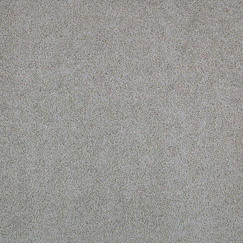 8 in. x 8 in. Texture Carpet Sample - Playful Moments I (T) -Color Whisp of Wonder price history on PriceWatchPro