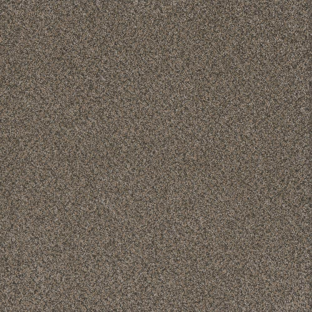 8 in. x 8 in. Texture Carpet Sample - Serene Glory I - Color Quiet price history on PriceWatchPro