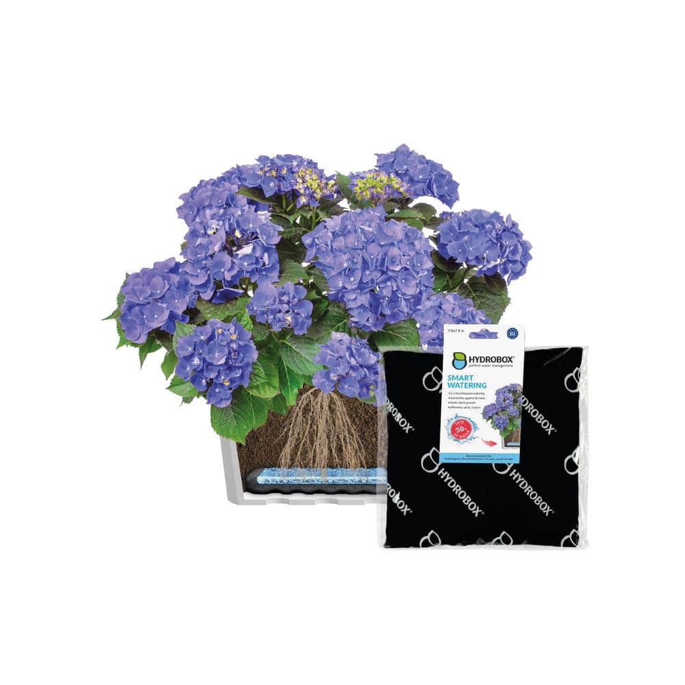 Hydrobox - 7.9 in. Smart Plant Watering, HDPE, PES