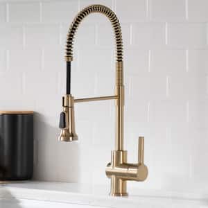 Britt Single Handle Pull Down Sprayer Kitchen Faucet with Soap Dispenser in Spot Free Antique Champagne Bronze