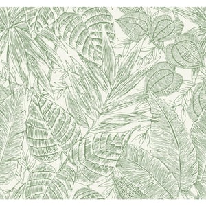 Dark Green ♤  Paper background texture, Dark green wallpaper, Textured  background
