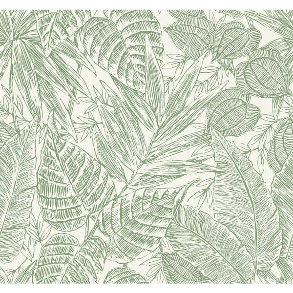SCOTT LIVING Brentwood Green Palm Leaves Wallpaper Sample