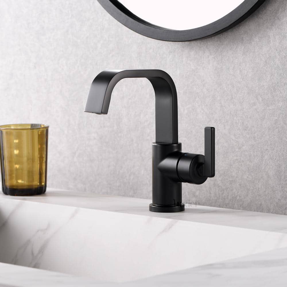 Matte Black Single-Handle Bathroom Faucet with Drain Assembly