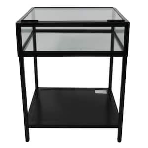 25 in. Clear Glass and Black Metal End Table