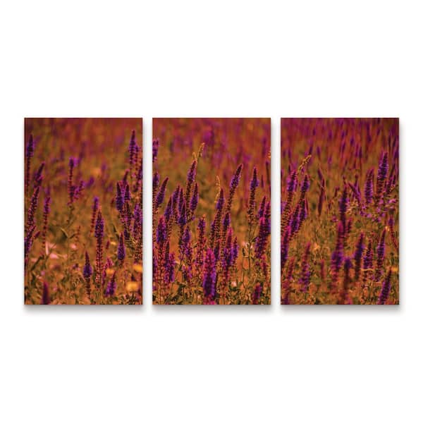 Trademark Fine Art Ali Heidari Violets 3-Piece Panel Set Unframed Photography Wall Art 19 in. x 36 in.