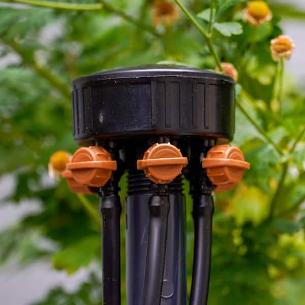 6-Outlet Adjustable Drip Manifold