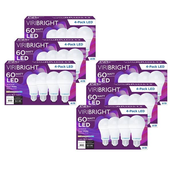 Viribright 60-Watt EQ A19 E26 General Purpose LED ENERGY STAR Light Bulb (24-Pack)