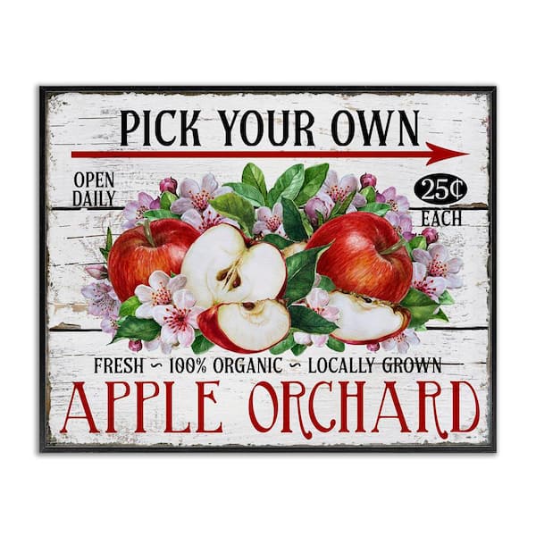 Pick Your Own Apples by Creatif Belle Black Framed Food Giclee Art Print 11 in. x 14 in.