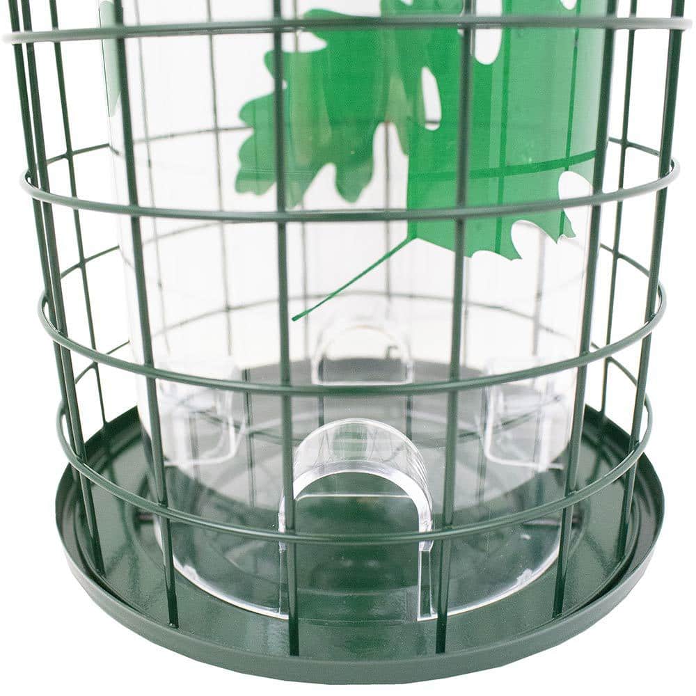 Green Metal and Plastic Squirrel Resistant Hanging Bird Feeder