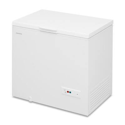 9 cu. ft. Chest Freezer in White