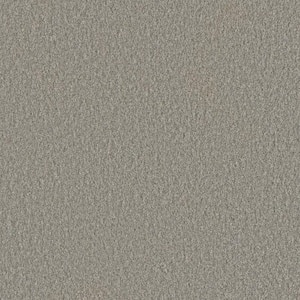 Blissful II - Jovial Gray - 60 oz. SD Polyester Texture Installed Carpet
