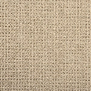 6 in. x 6 in. Multi-Level Loop Carpet Sample - Shenadoah - Color Flax