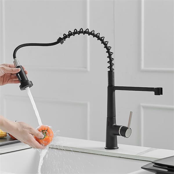FLG Single Handle Kitchen Faucet with Pull Down Sprayer 1 Hole Kitchen Sink  Faucet Brass Commercial Taps in Matte Black CC-0050-MB - The Home Depot