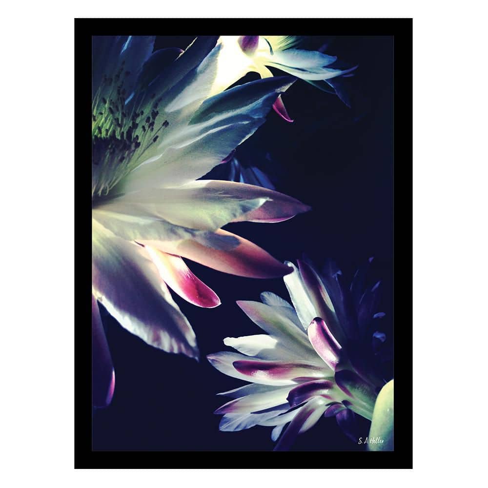 Blossoms Touch Black Framed Floral Print for Kids