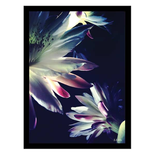 VENICE BEACH Collections Heller Photography Blossoms touch Framed Printed Photograph by Steven A. Heller Nature Poster Art Print 18 in. x 14 in.