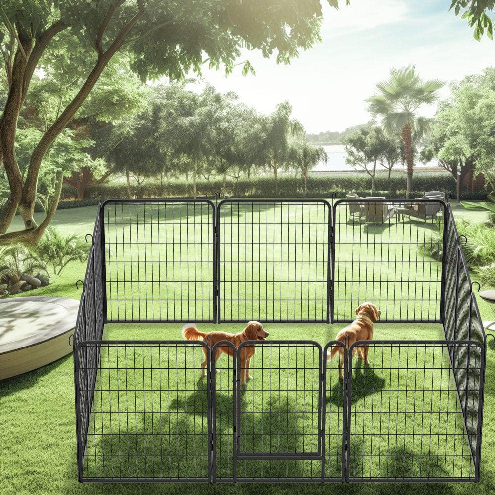 Heavy-Duty Black Metal Pet Exercise Pen with Door, 31.7 in. H