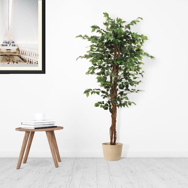 Larksilk 6 Artificial Ficus Tree with 1008 Leaves - Lifelike Indoor Decor,  Low Maintenance, Realistic Greenery for Home & Office AWF1615XX-1PC - The  Home Depot