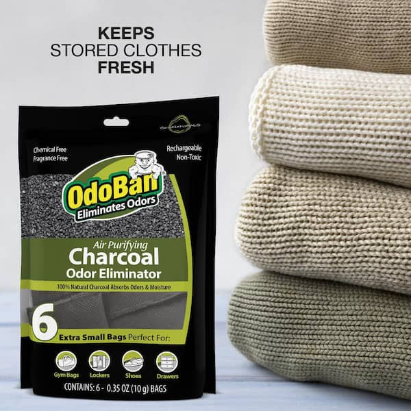 Pure Guardian Air Purifying Bamboo Charcoal Bag, 16 oz CB500 - The Home  Depot