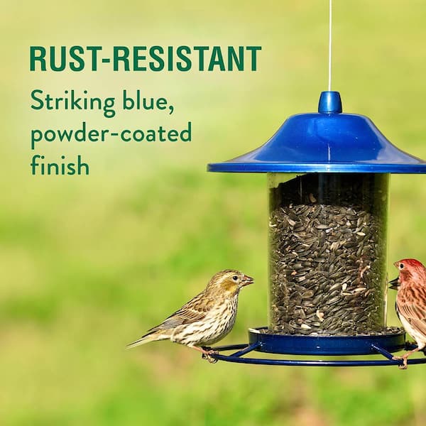 Blue Sparkle Panorama Hanging Bird Feeder - 2 lb. Capacity